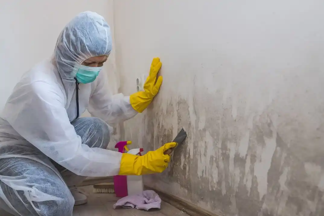 water damage restoration service University Heights